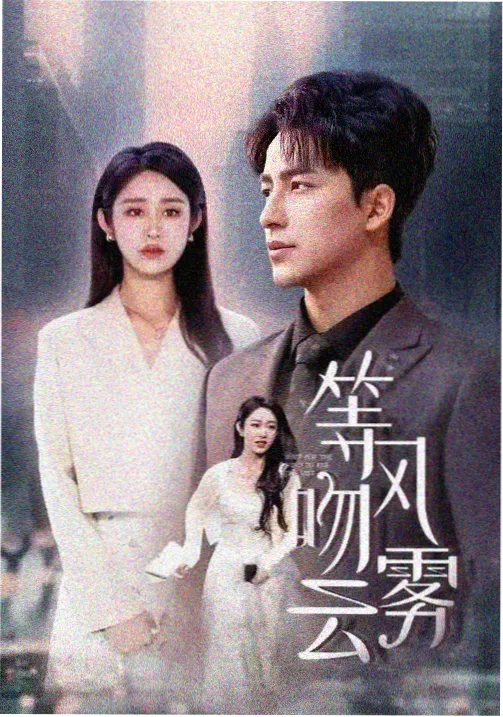悬疑推理剧沉默的第九位证人剧照